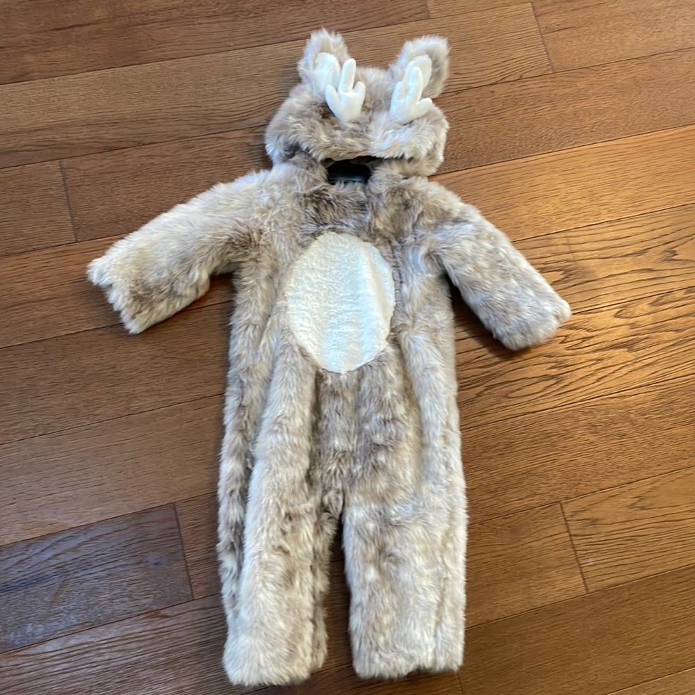 Just the sweetest costume ever ! 12-24 months , worn once .